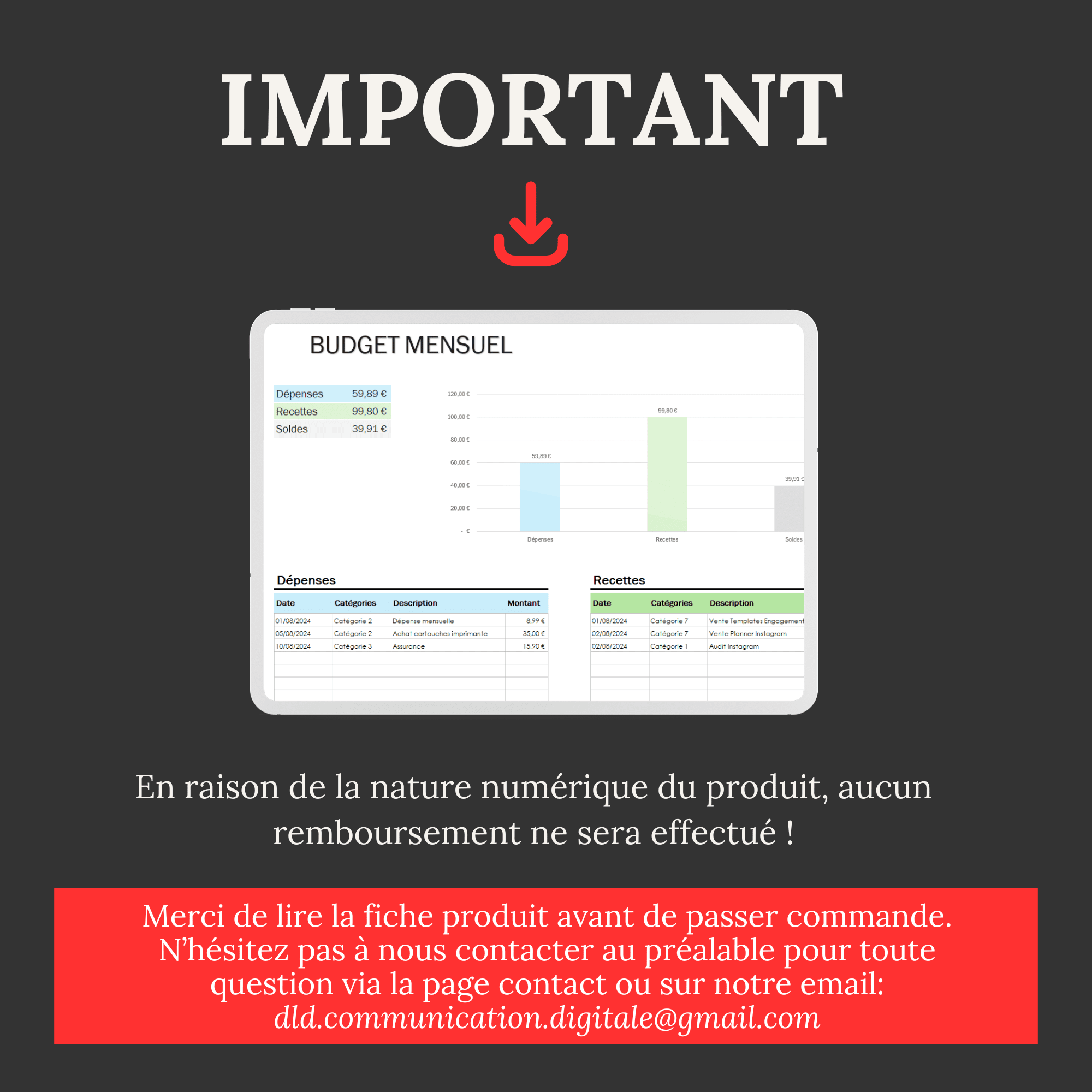 Tableau de Budget mensuel Excel pour le suivi des Dépenses et Recettes mensuelles (simple et facile) – Image 5