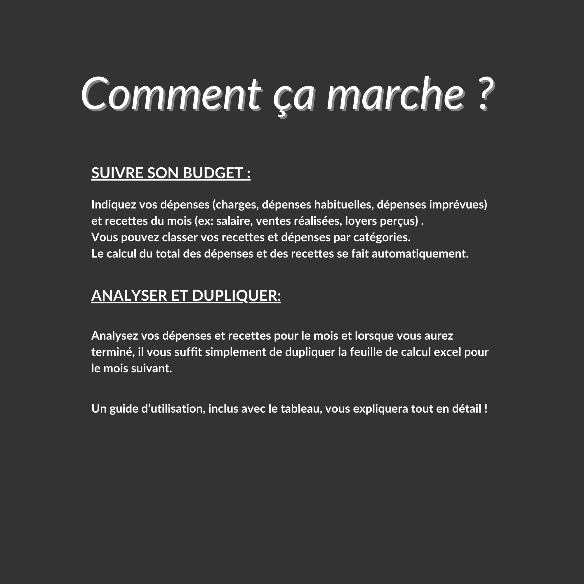 Tableau de Budget mensuel Excel pour le suivi des Dépenses et Recettes mensuelles (simple et facile) – Image 3