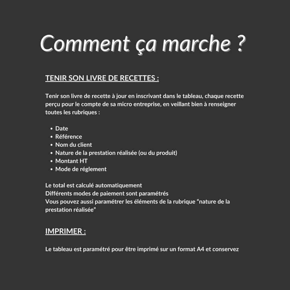 Livre des dépenses et recettes pour auto entrepreneur – Image 3